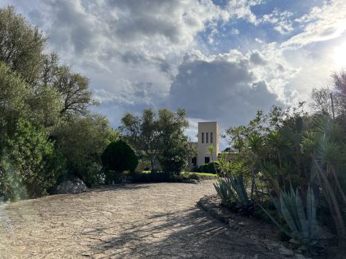 Blick von der Zufahrt auf die Finca